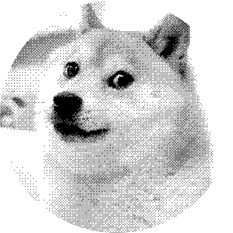 Picture of the Doge